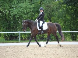 IMG_0633_web